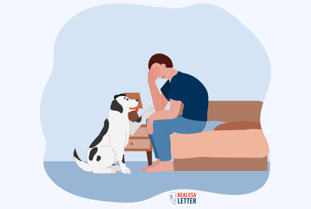 A psychiatric service dog for PTSD is trained to interrupt flashbacks