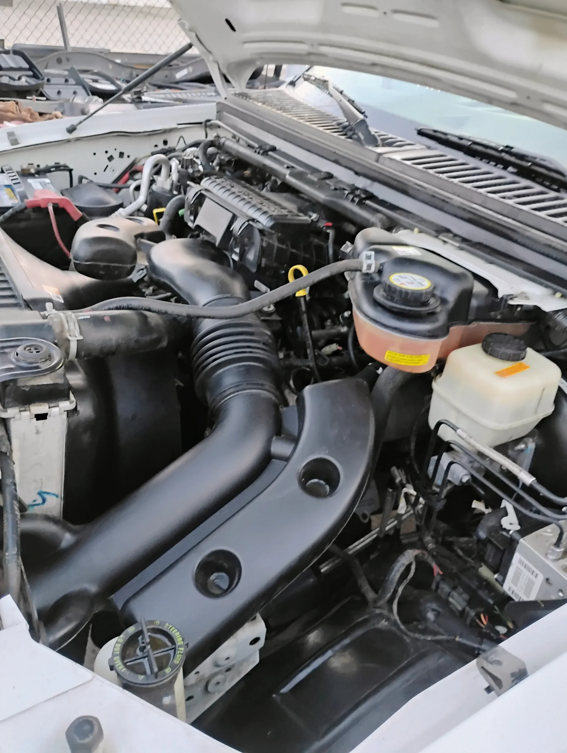 IMG_20260214_173132927_HDR_AE
